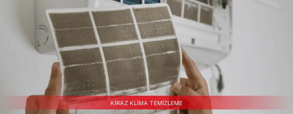 Kiraz İlçemi Viessmann Klima Temizleme